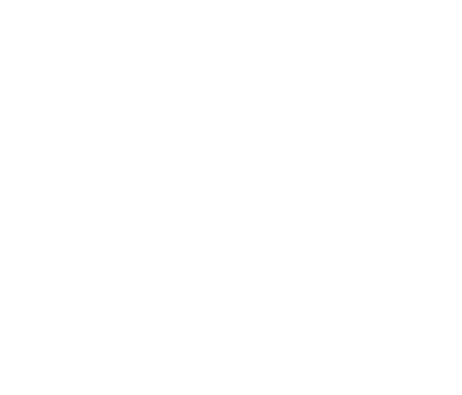 VYECOM